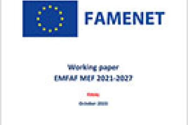 Working paper EMFAF MEF 2021-2027 cover